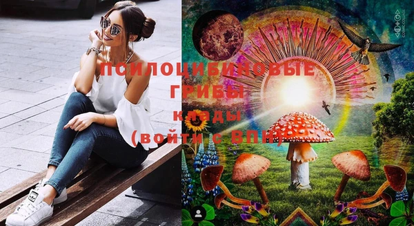 дмт Магадан