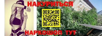 прущие крисы Апшеронск