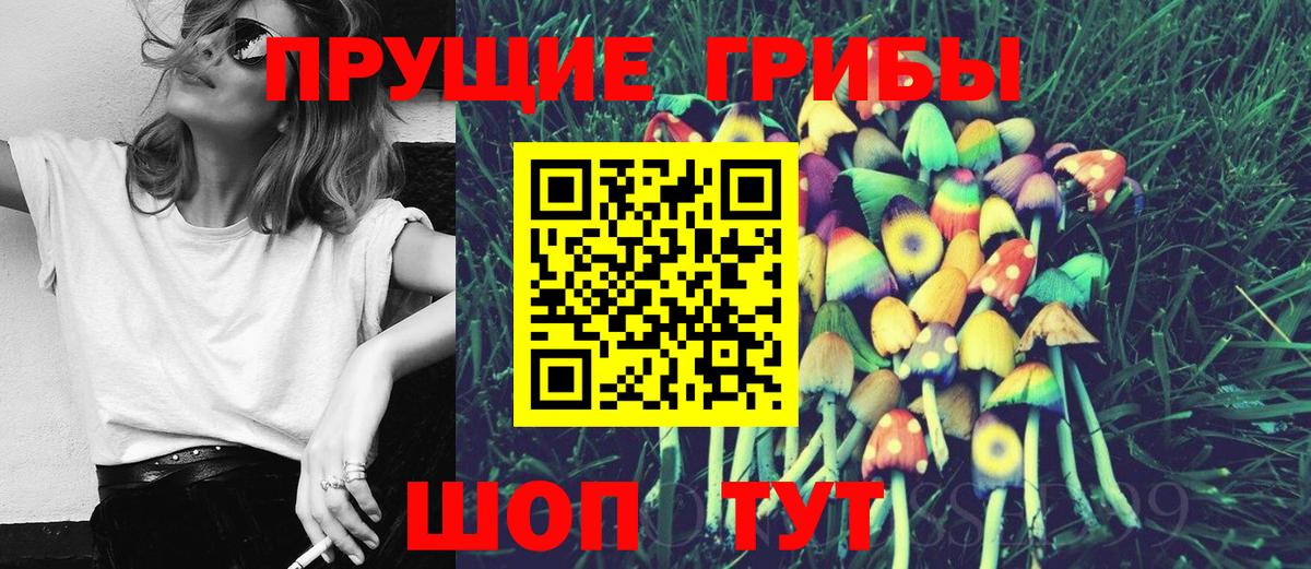 Псилоцибиновые грибы GOLDEN TEACHER  Южноуральск 